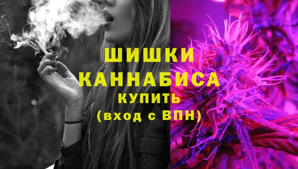 дживик Мегион