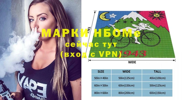 индика Барнаул