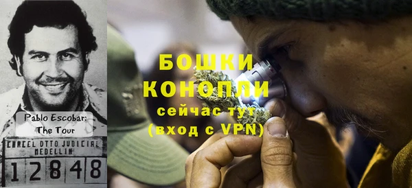 дживик Мегион